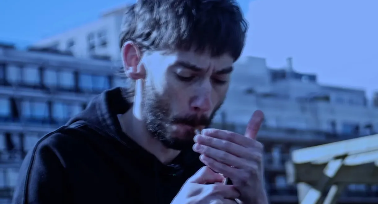 Birdemic Macron Terror : Le Documentaire "Bigger Than Life"