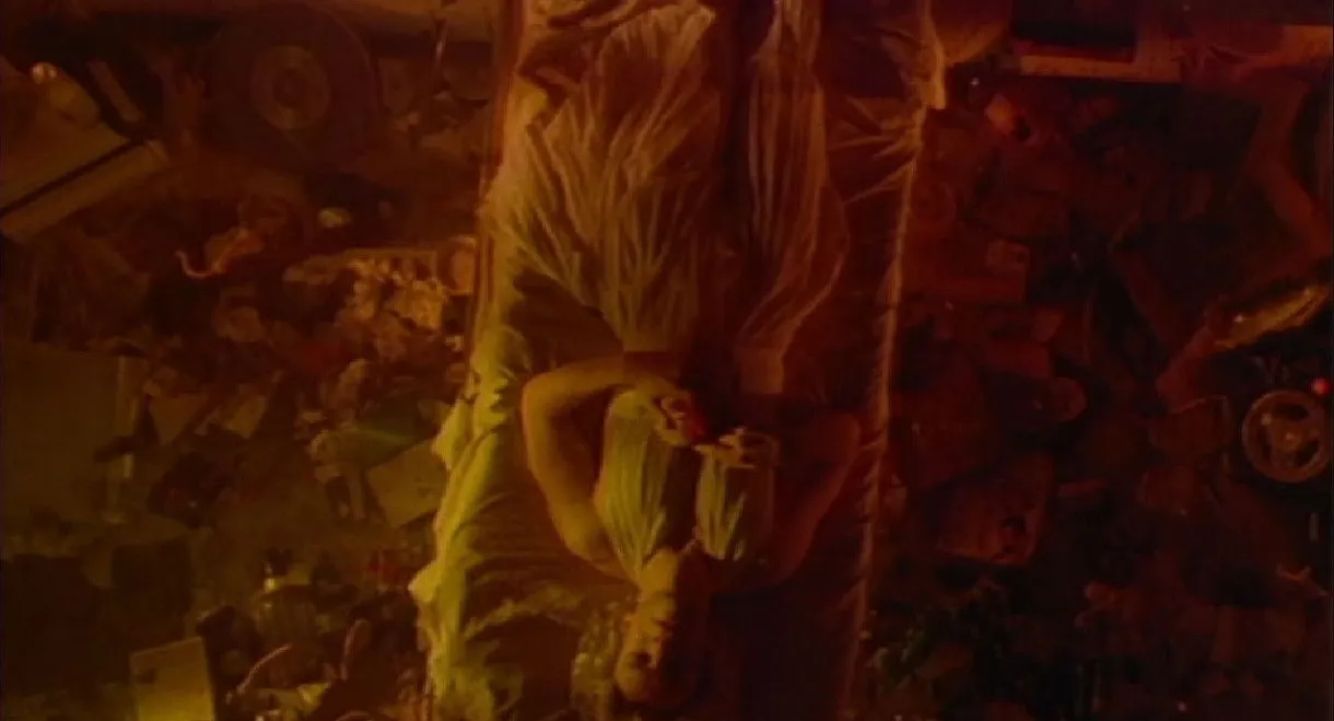 Lipton Cockton in the Shadows of Sodoma