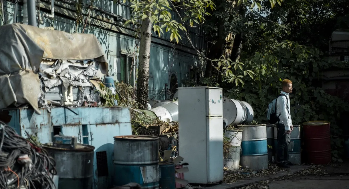 The Shape of Leaping