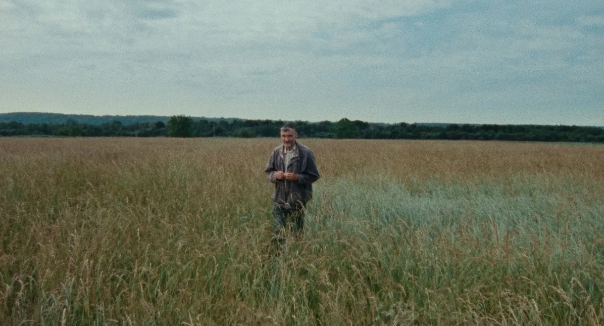 7 Walks with Mark Brown