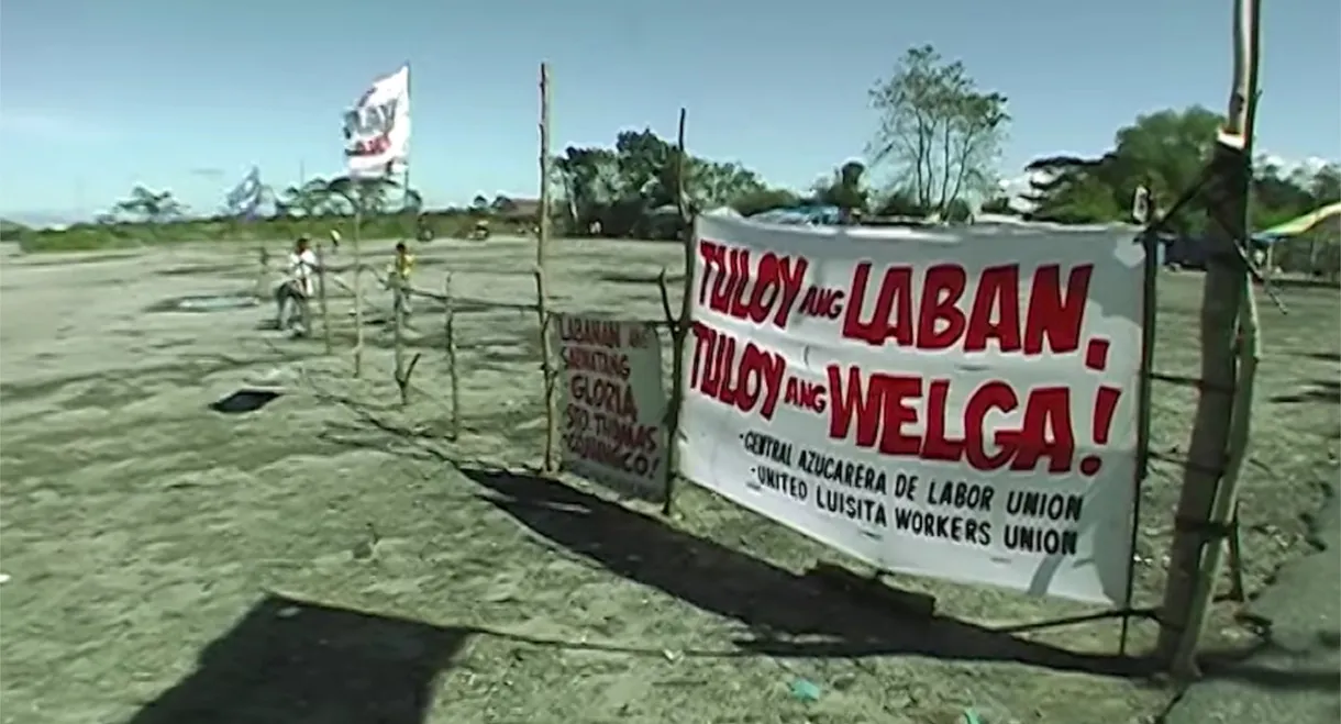 In the Name of the Sugarcane