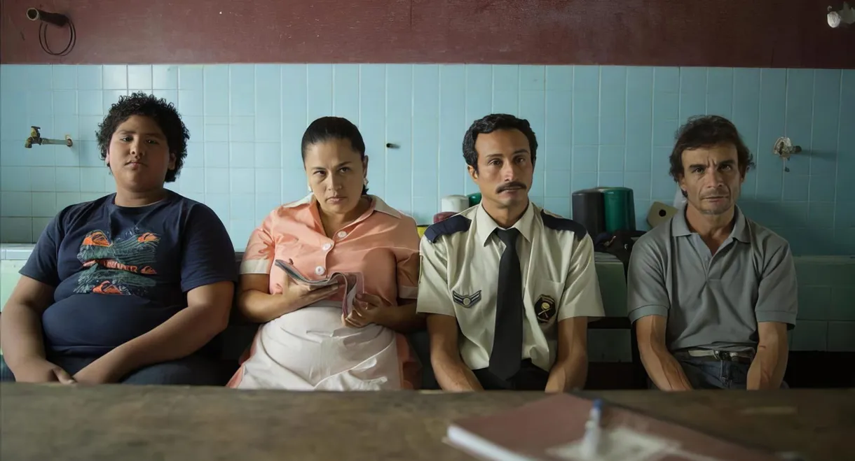 All About the Feathers