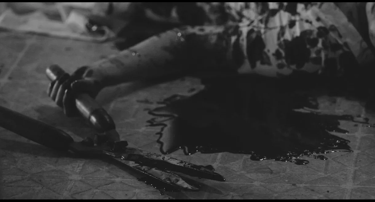 The Girl Inside The Photograph