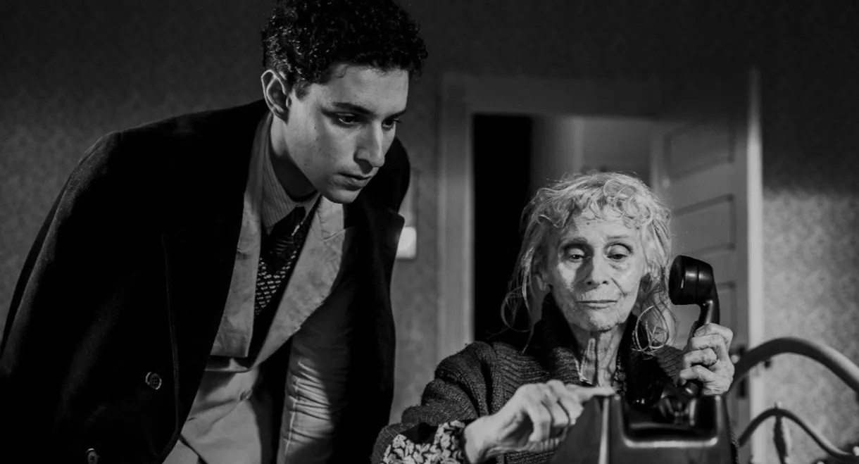 The American Backyard