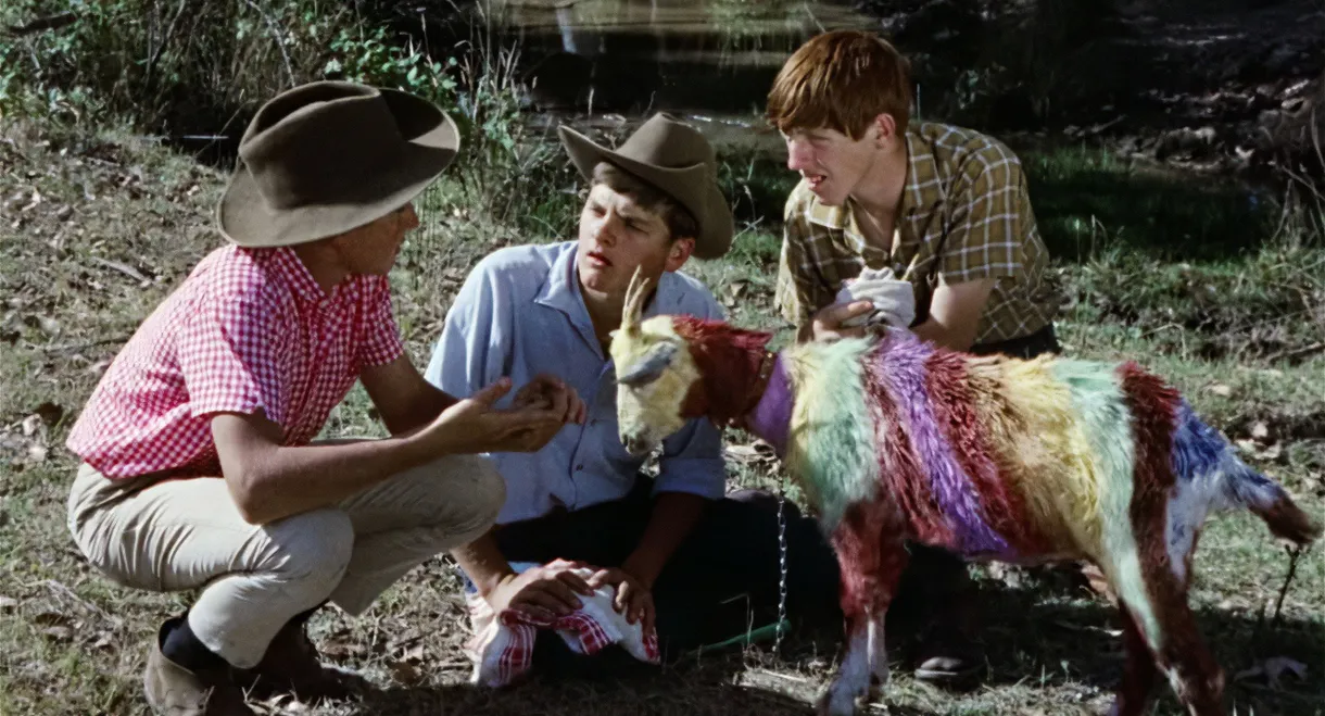 Funny Things Happen Down Under