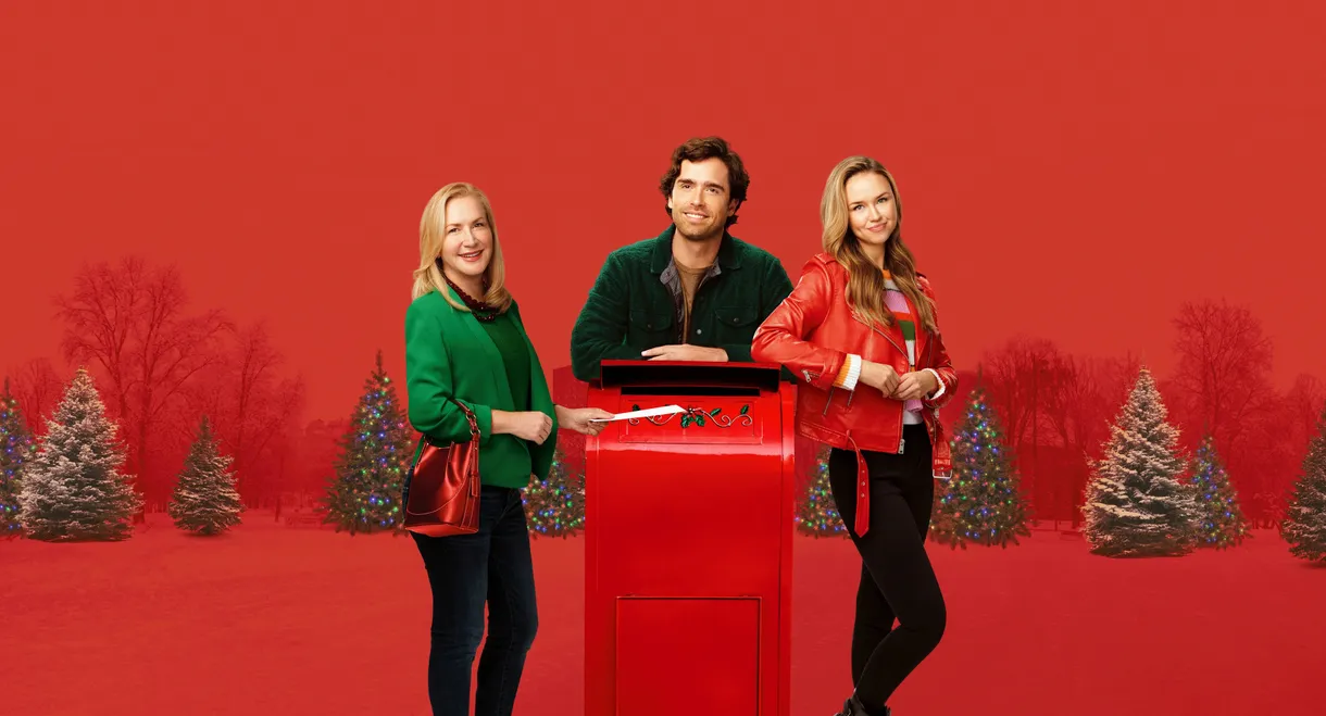 Confessions of a Christmas Letter