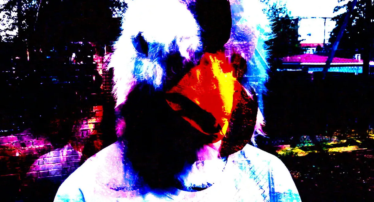 Why he got a chicken on his head?