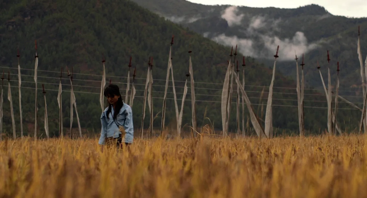 3 Year 3 Month Retreat