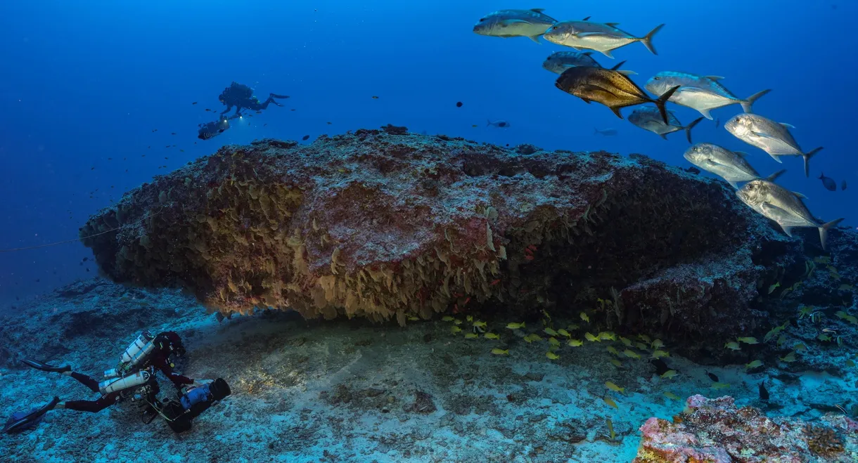 The mysteries of Mont La Pérouse