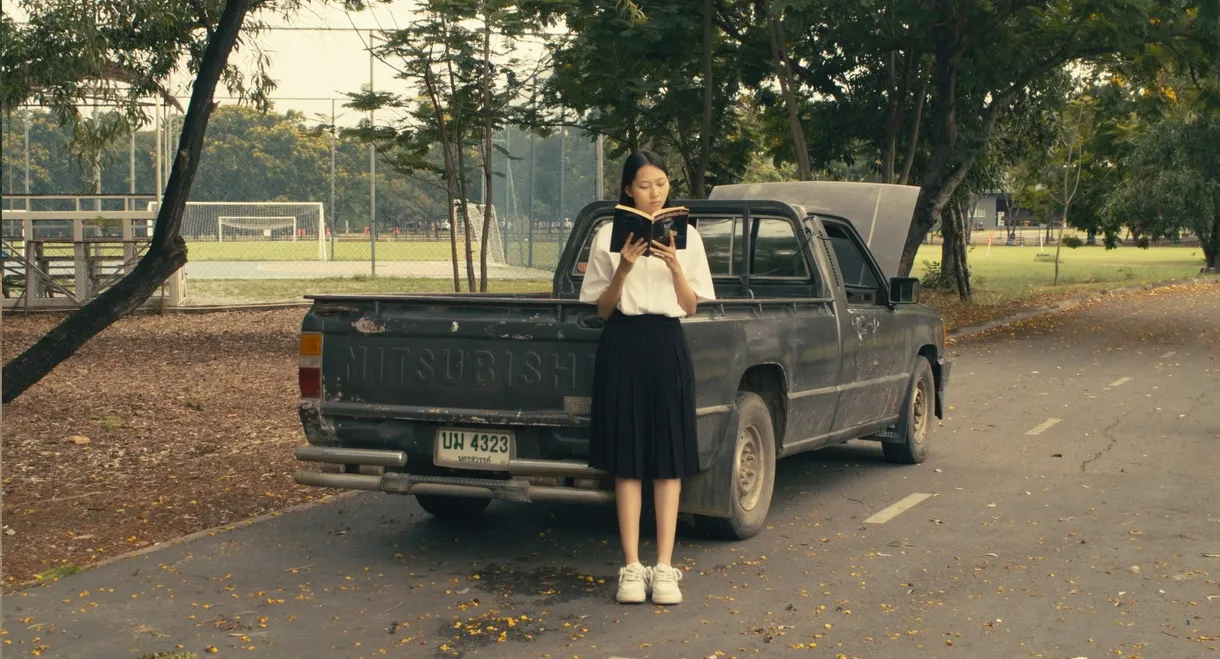 Dissolve to the Pastroad