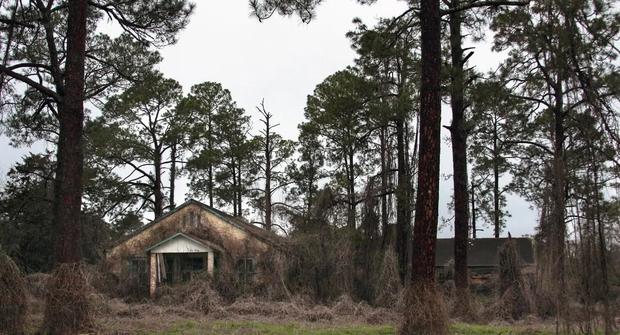 Deadly Secrets: The Lost Children of Dozier