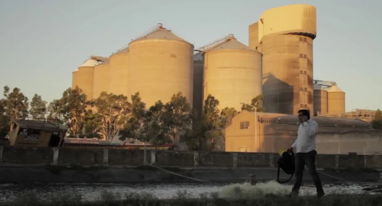 El camino de Martín Negri