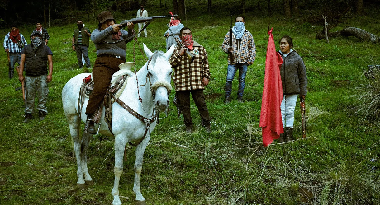 A History of Love and War