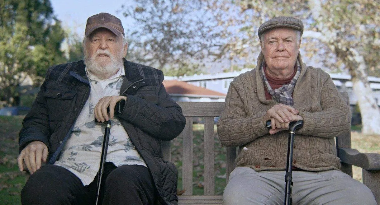 New Old Friends