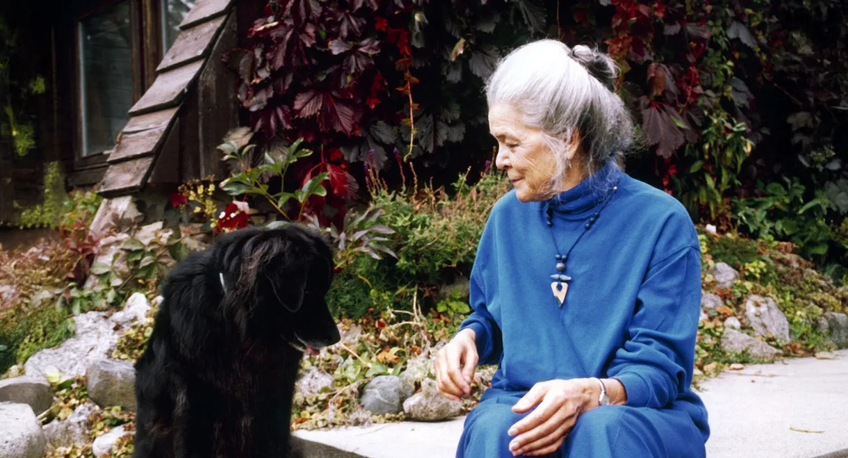 Kathleen Shannon: On Film, Feminism & Other Dreams