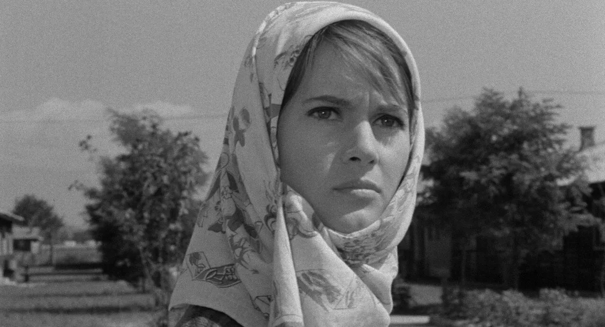 Don't Come Back by the Same Way