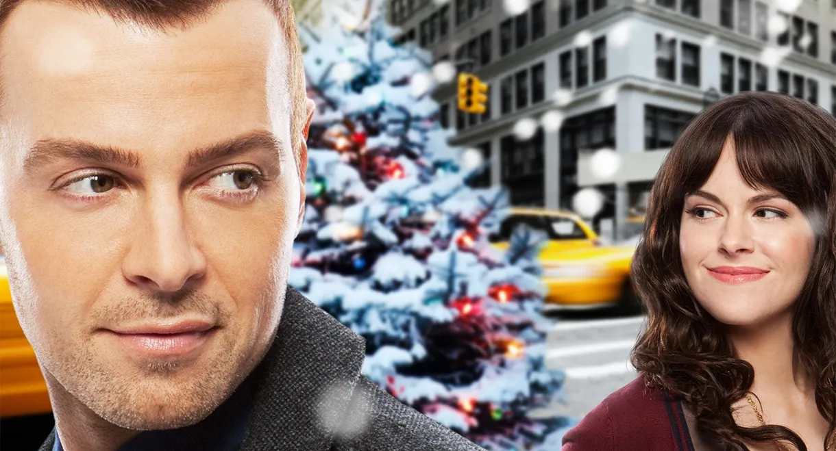 Hitched for the Holidays