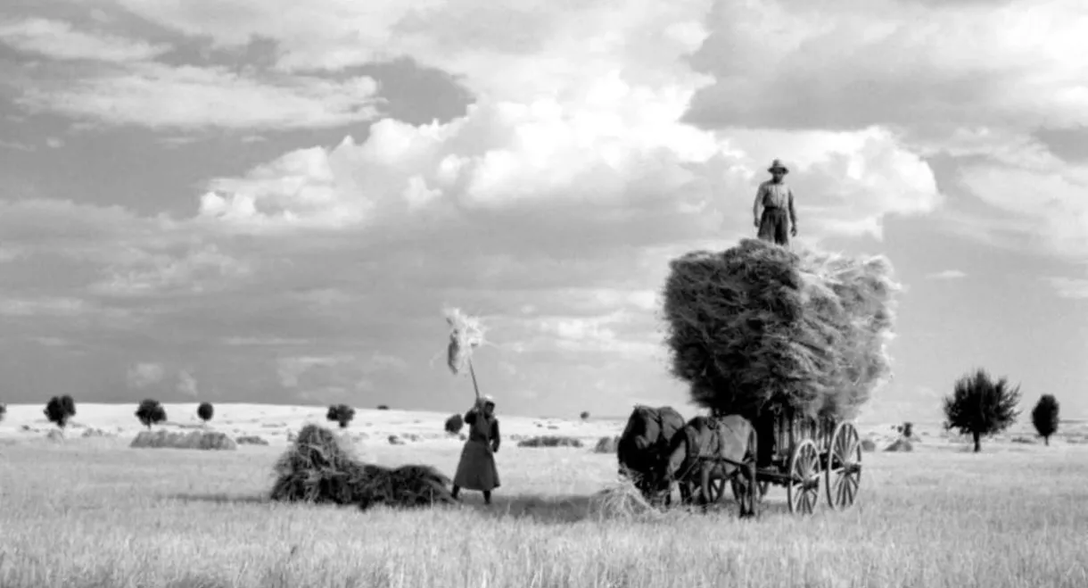 My Father’s Studio