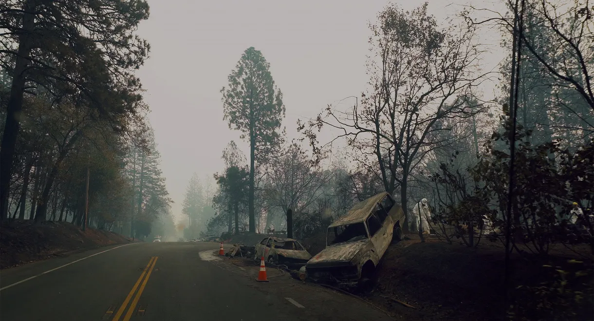 The Fire Cats: Save Something Small