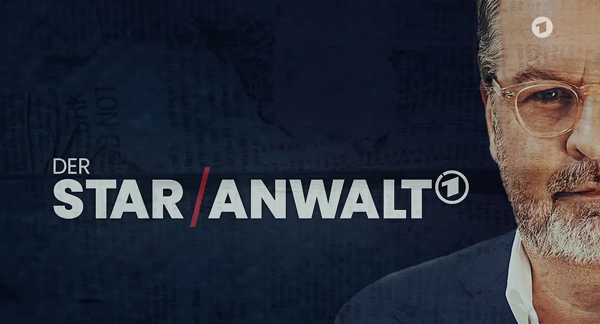 Der Star-Anwalt: Christian Schertz und die Medien