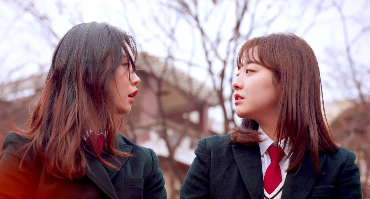 Graduation, Present + Propose