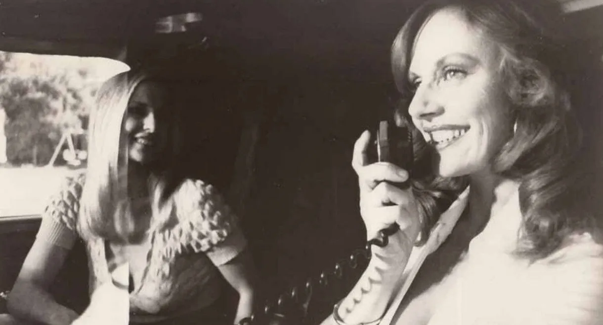 Smokey and the Hotwire Gang