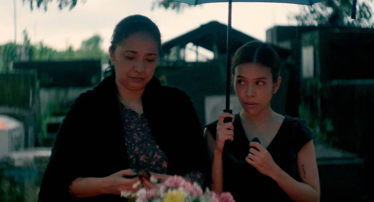 When It Rained Malunggay Leaves