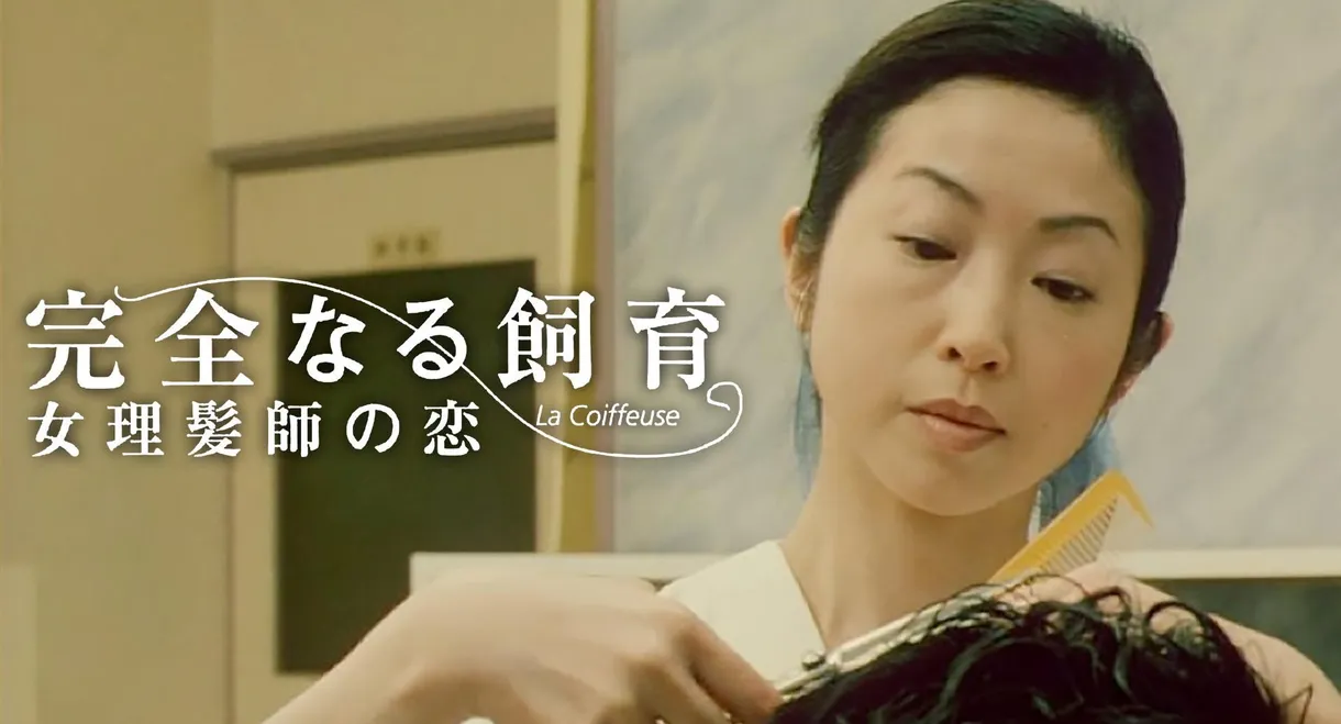 Perfect Education 5: Amazing Story