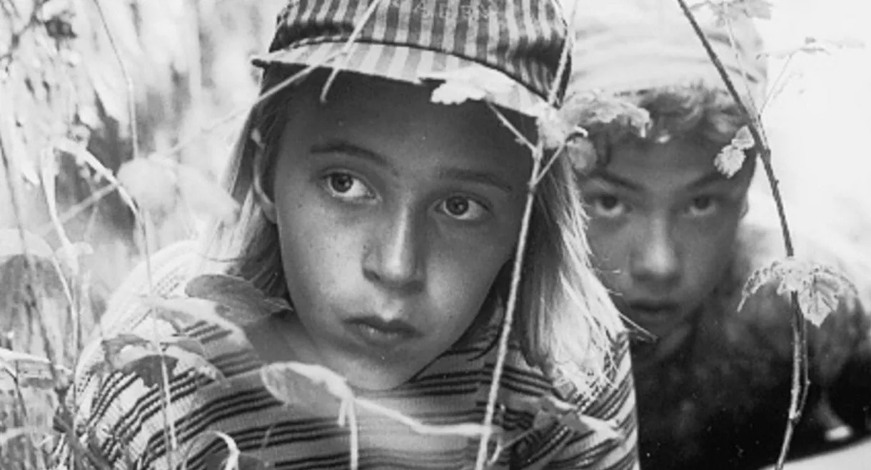 Die Spur der roten Fässer