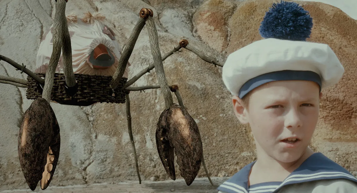 Earthly Side of the Moon