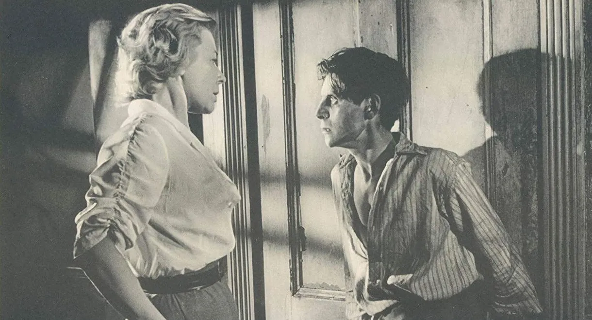 No Trees in the Street