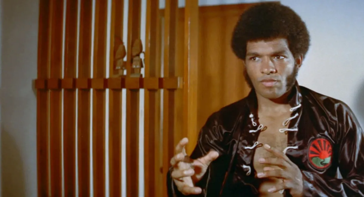 Black Dragon's Revenge