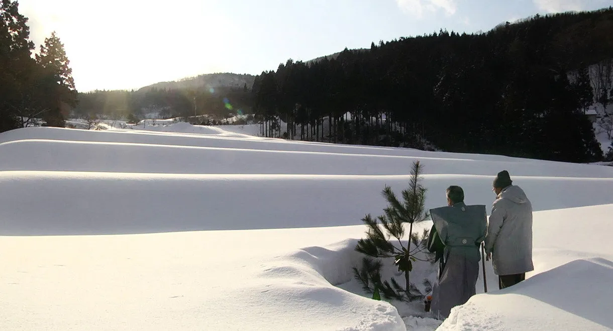The Genealogy of Sake