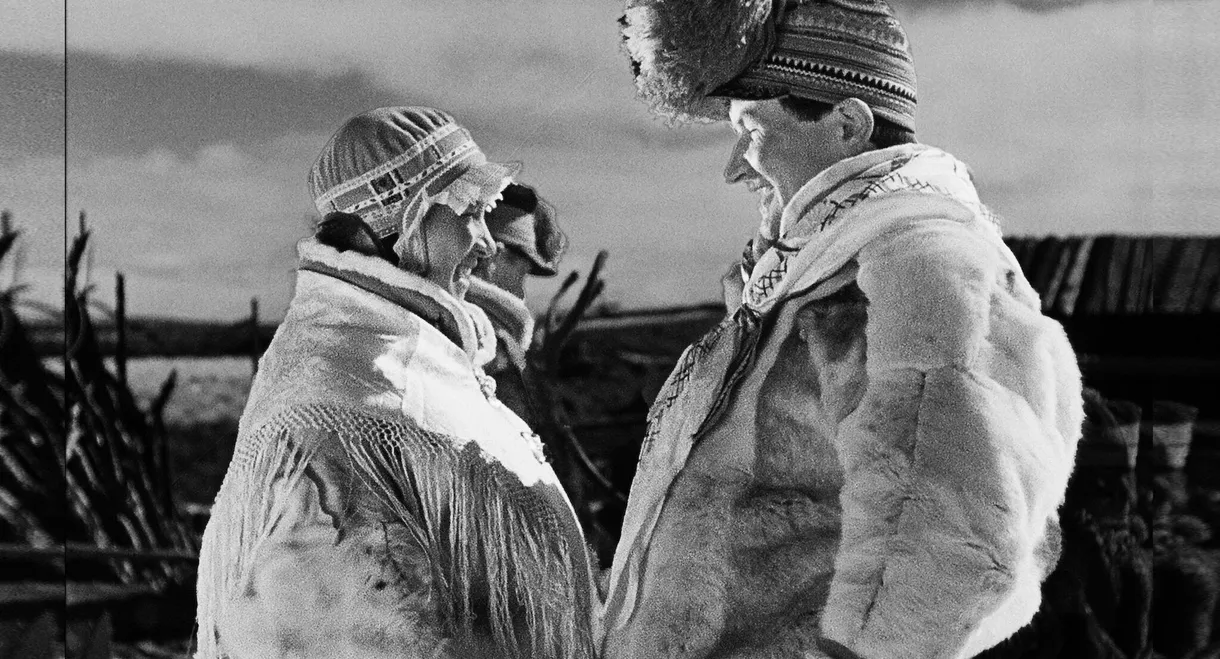 Son of the Midnight Sun