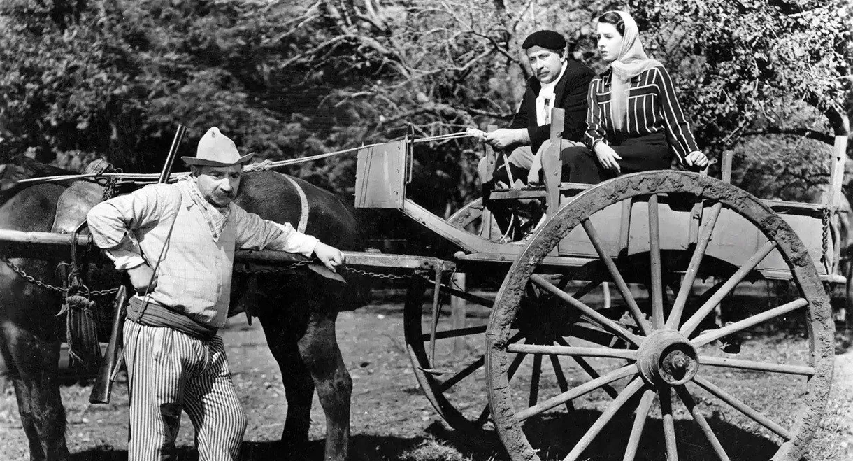 Los muchachos se divierten