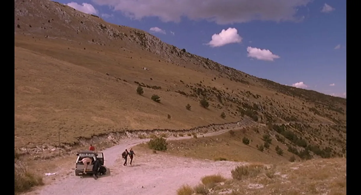 Shipwrecked on Route D17