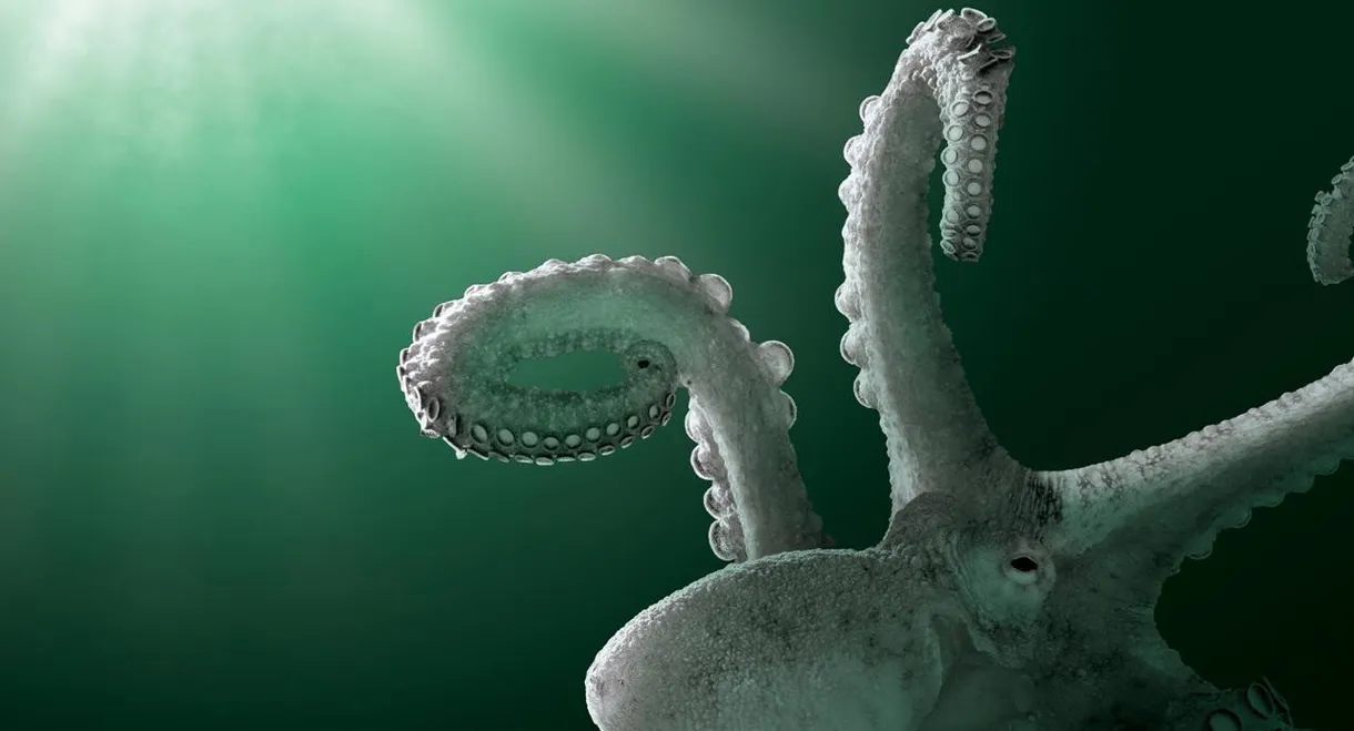 Aliens of the Deep Sea