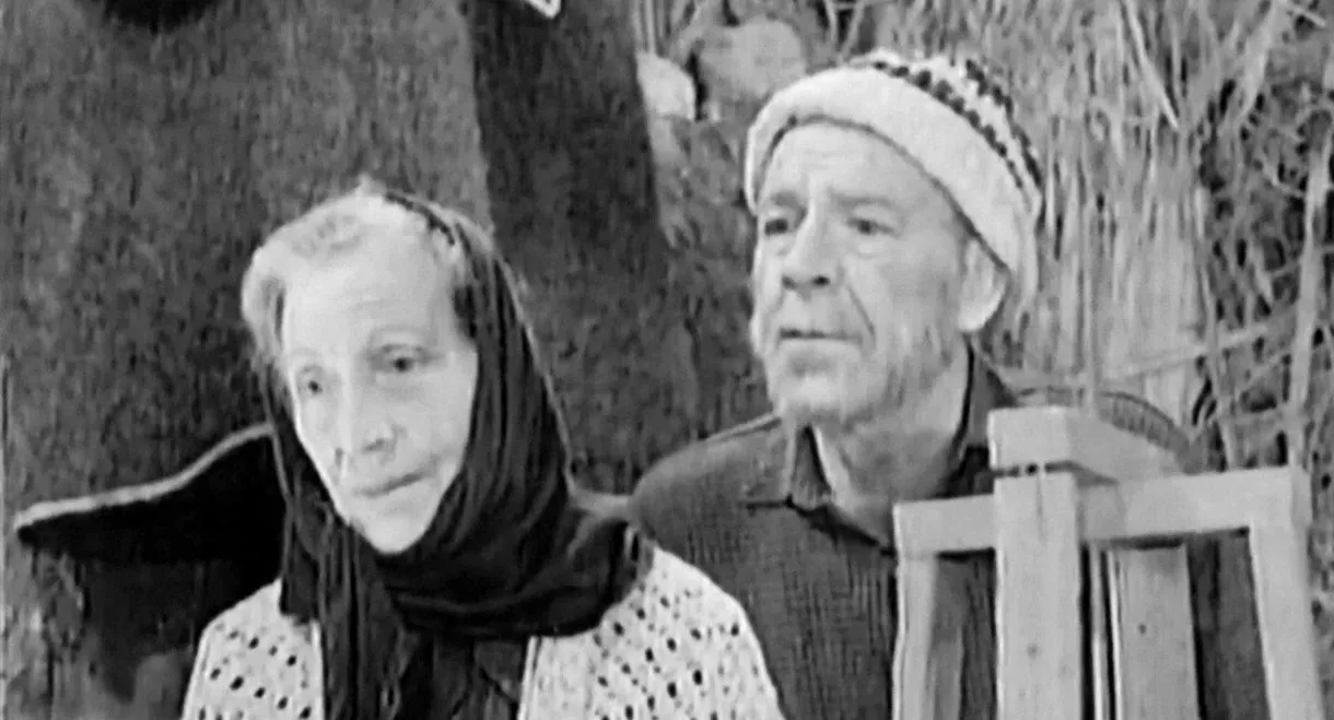 Confession of a Mother