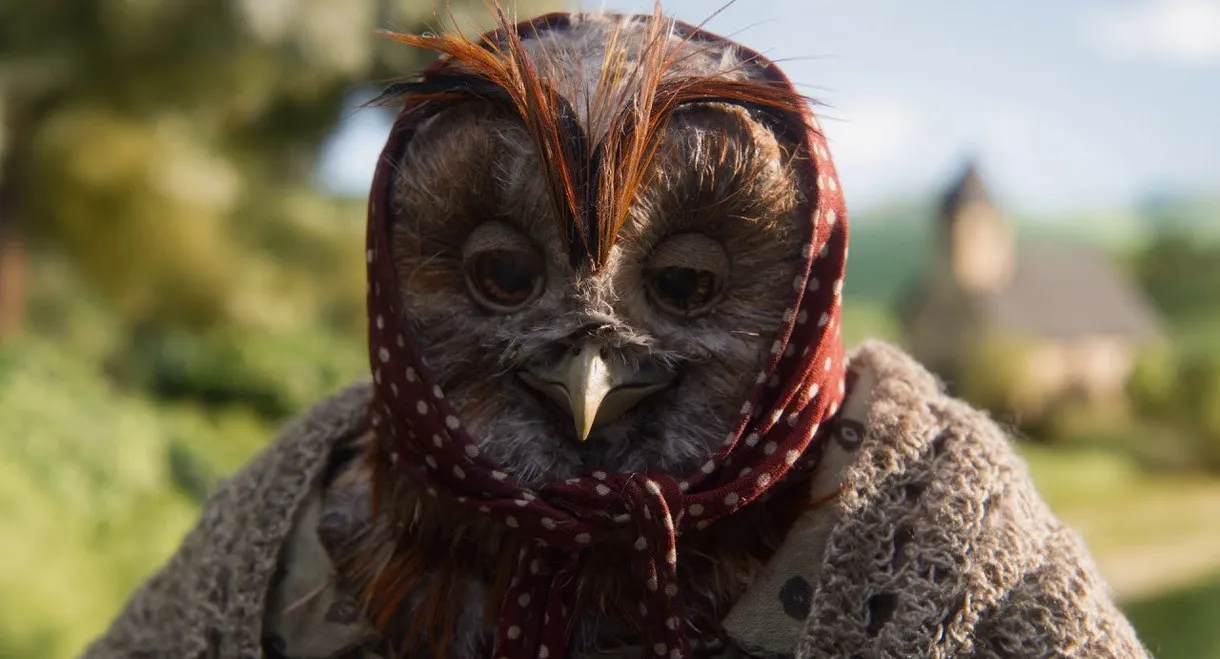 Raymonde or the Vertical Escape