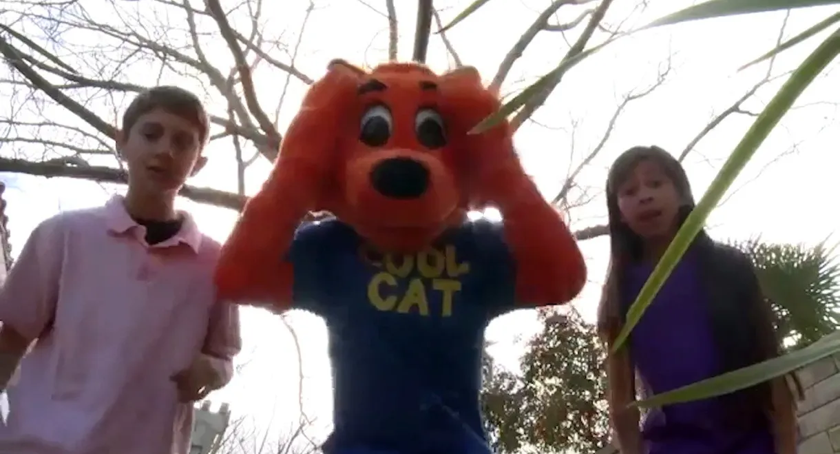 Cool Cat Finds a Gun