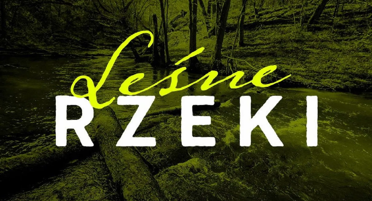 Leśne rzeki