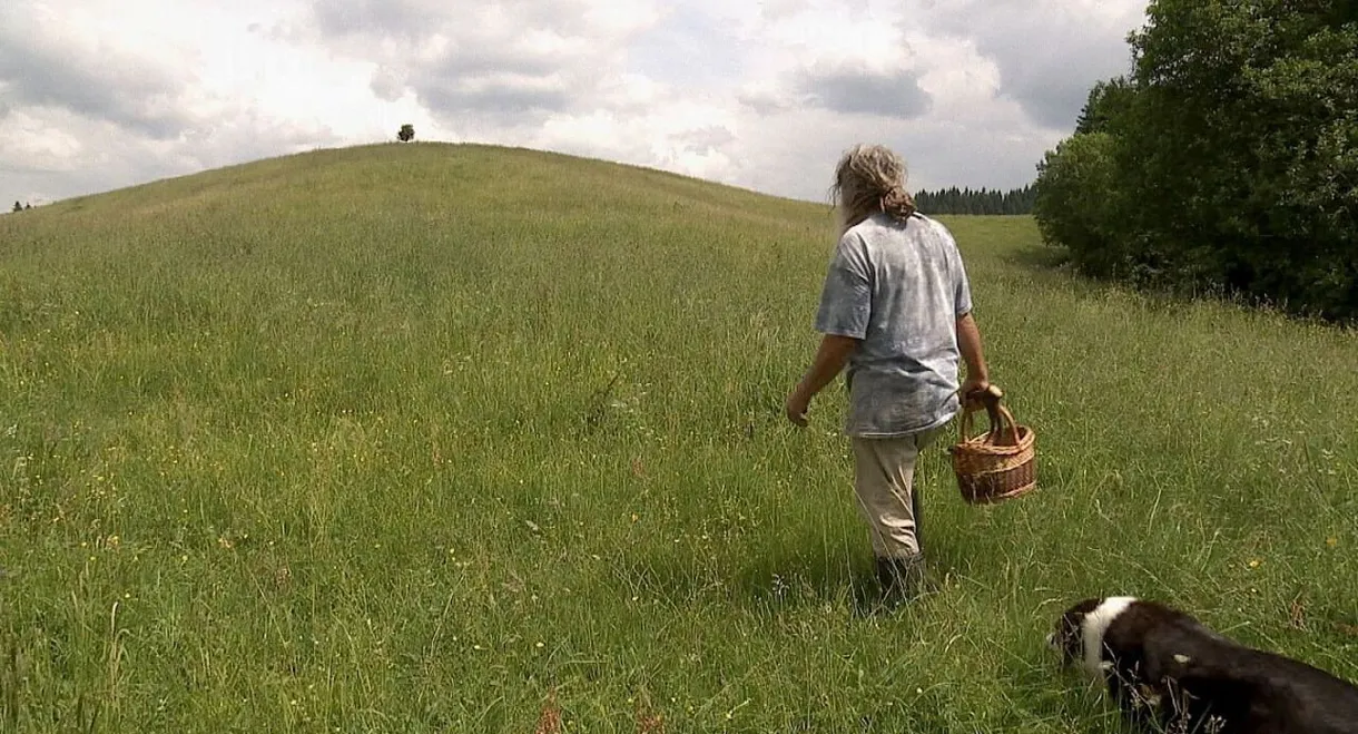 Auf der Suche nach Heilern