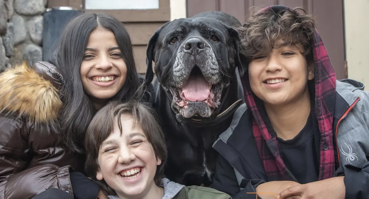 Dog Patrol: Operation Santa Paws