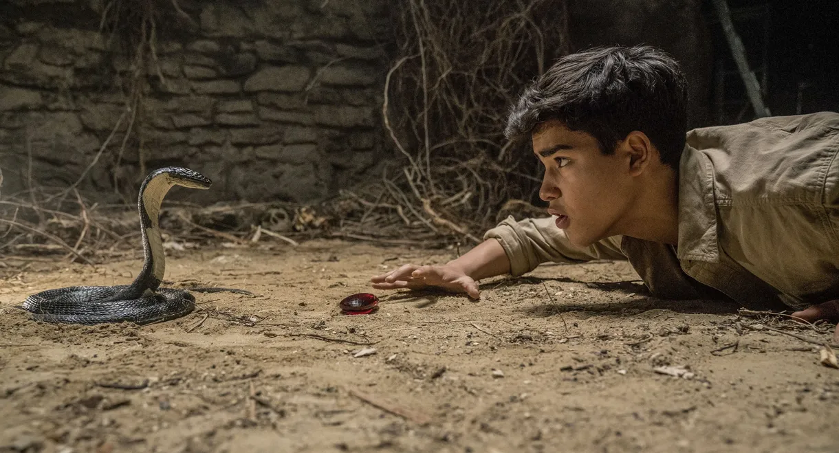 Iqbal & the Jewel of India