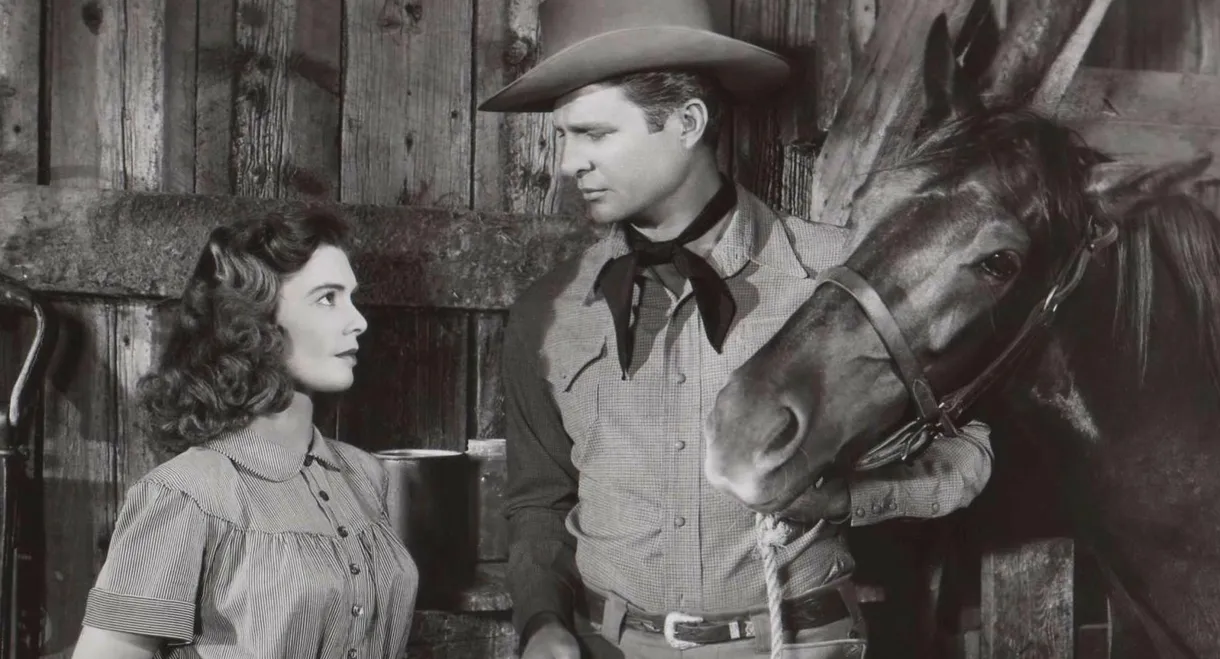 Red Stallion In The Rockies