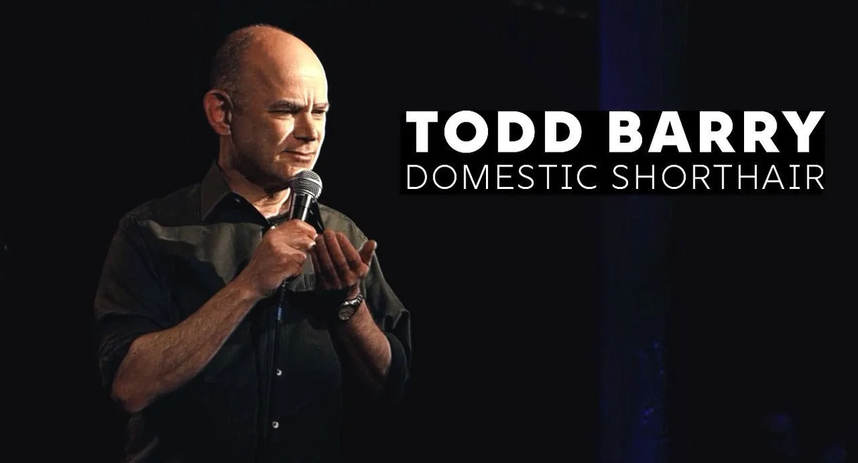 Todd Barry: Domestic Shorthair