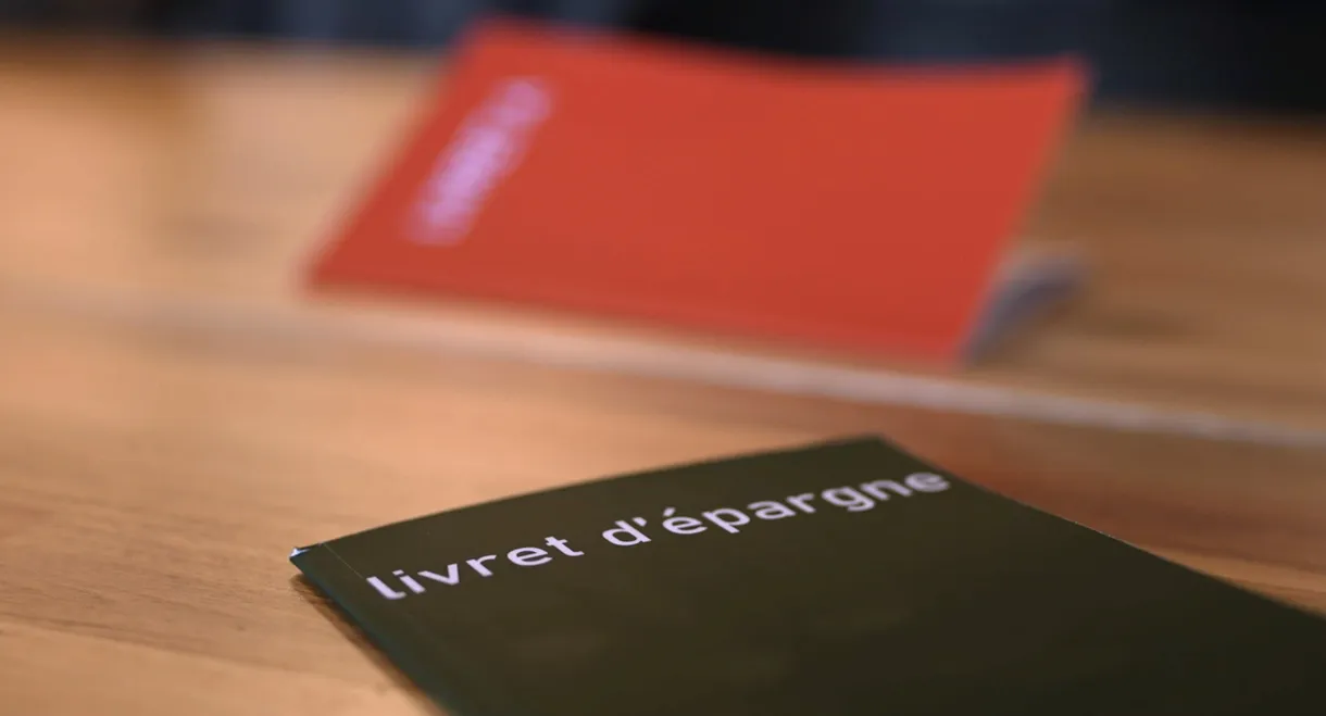 Livret A, assurance vie : Où va notre argent ?