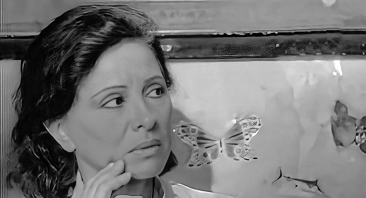 Bitter Day, Sweet Day