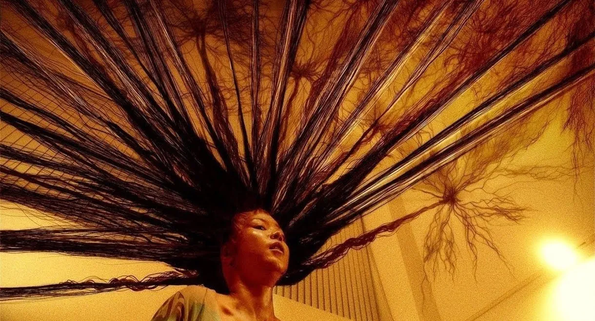 Exte: Hair Extensions