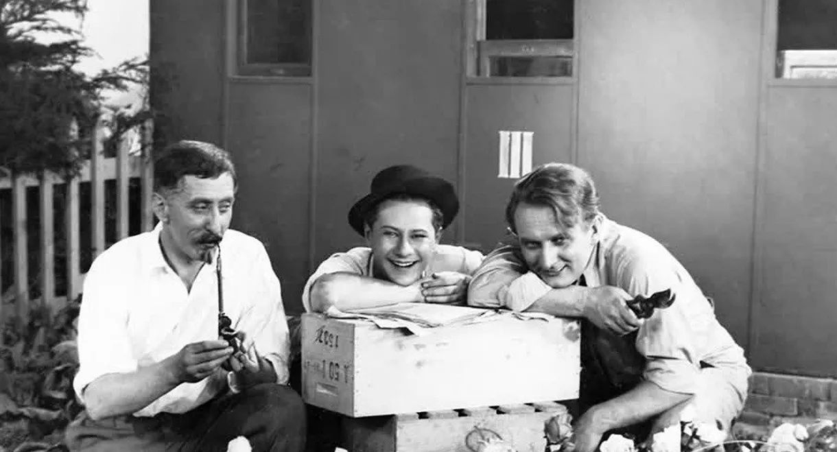 Na růžích ustláno